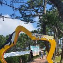 대왕별 아이누리 이미지