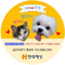 가람실비 이미지