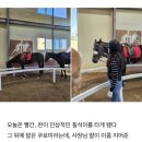 지원(G1)소프트 | 말 좋아하세요?