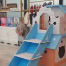 고양이 미용 미오 이미지