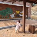 끄레아 풀빌라 앤 키즈펜션 | 가평 아이와 가볼 만한 곳: 음악 역 1939, 명지산 생태전시관, 에비뉴 앤 알리에 키즈 풀빌라 후기