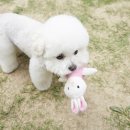 이프동물의료센터 이미지