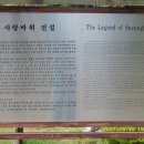 계곡사랑 이미지