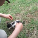 산밭골횟집 이미지