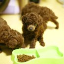 뽀글뽀글 이미지