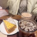 콘타이 이미지