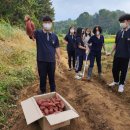 연동중학교 이미지