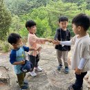어울림숲학교