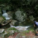 금원산자연휴양림(거창) 이미지