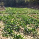 남해-208 이미지