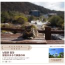 4047 | 제12회 한일포토콘테스트 수상 및 시상식 후기