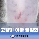 과천우주동물병원 이미지
