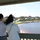 진다리로 이미지