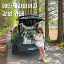 카페프로포즈 | 안성카페 '풍사니랑' 메타세콰이어길에서 평생 잊지 못할 프로포즈 받은 후기