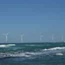 철이네 민박 이미지