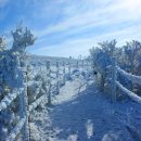 12/12[일]영주 소백산 비로봉 눈꽃산행-산행안내/좌석표 이미지