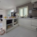 드라이119 | 가평 바비애견풀빌라 독채원룸 내돈내산 후기 애견수영장 애견운동장으로 반려견 도파민 폭발