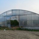 토마토인터넷 이미지