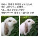 이가네옛날국밥