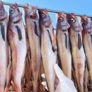 이즈 스포츠클럽 이미지