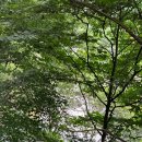 충청남도 공주시청 | 공주 가볼만한 곳, 유네스코 문화유산 &#34;마곡사&#34;