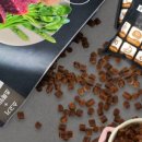 끼니와참 이미지