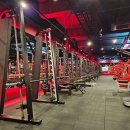 라이언 휘트니스 이미지