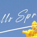 경기도 수원시 장안구 파장로21번길 이미지