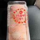 느낌it개 이미지