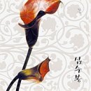 데뷔 40주년 기념 심수봉 콘서트 이미지