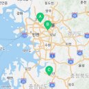 골든햄스터 분양 탬펫 충남아산점 이미지