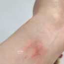 206 | 구찌 립스틱 루즈 드 보떼 브리앙 206 사용 후기｜데일리 로즈 컬러 발색