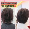 배스킨라빈스 산본금정점 | 당동 미용실 플랜에이치 군포당동점 극손상 염색모 복구 아윤채클리닉 엄마 후기