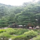 솔밭펜션캠핑장 이미지