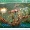 만포수산 이미지