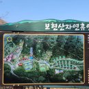 11650-7-17-19 | 경북 영천 보현산 자연휴양림 숲속의집 19호 독채 숙소 추천 17호 18호 전망 비교