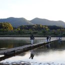 임학주유소 이미지