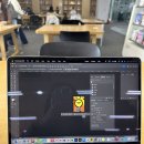 ⚜️💻 GTQ/GTQi 1급 합격 후기 - 일러스트 100점 누가 맞아? 안녕하세요 누입니다...😚// 준비 과정부터...
