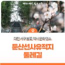 대덕대로317번길 이미지