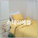 스테이에셀