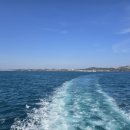 우도사랑협동조합 | 우도 버스 여행 - 우도사랑협동조합 우도 관광지 순환버스(우도 해안도로 관광지 순환버스)를 이용한...