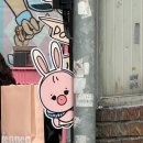 연희장 | 24년도 선우 생카💗