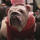 정상호 농장 이미지