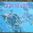 2026.6.20.토 신안 자은도.암태도.임자도 이미지