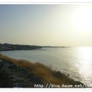 금빛카페 - 김포시 | 금빛카페