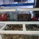 울진참가자미 | 수성구 물회 맛집 추천 울진참가자미에서 시원한 물회 한 그릇 ~ 내돈내산후기