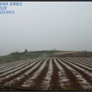 문내 우수영초등학교 이미지