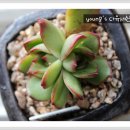 거해농장 이미지