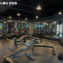 웰핏헬스클럽