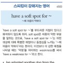 have a soft spot for~ 이미지